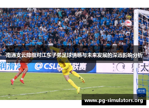 南通支云降级对江东子弟足球情感与未来发展的深远影响分析 南通支云降级对江东子弟足球情感与未来发展的深远影响分析
