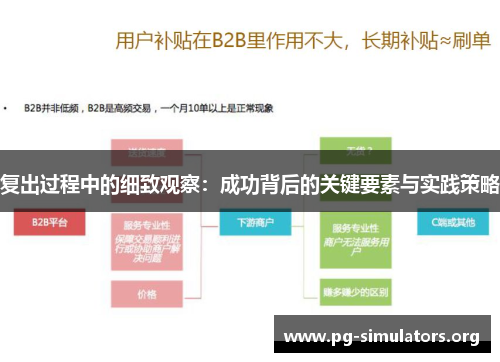 复出过程中的细致观察:成功背后的关键要素与实践策略 复出过程中的细致观察:成功背后的关键要素与实践策略