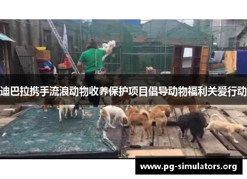 迪巴拉携手流浪动物收养保护项目倡导动物福利关爱行动