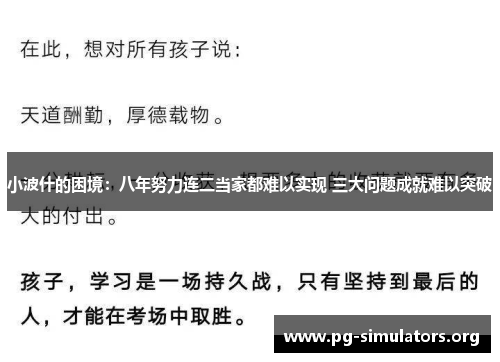 小波什的困境：八年努力连二当家都难以实现 三大问题成就难以突破