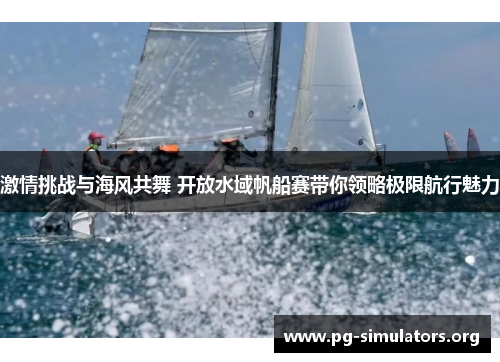 激情挑战与海风共舞 开放水域帆船赛带你领略极限航行魅力