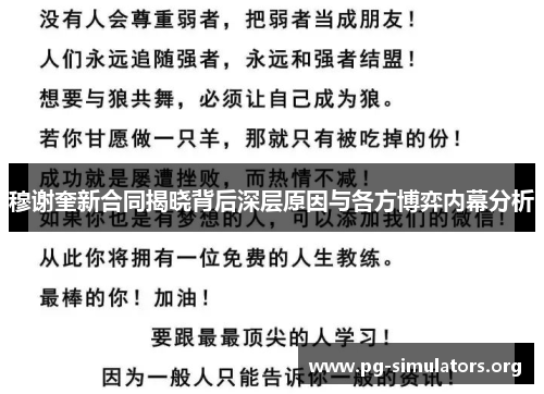 穆谢奎新合同揭晓背后深层原因与各方博弈内幕分析