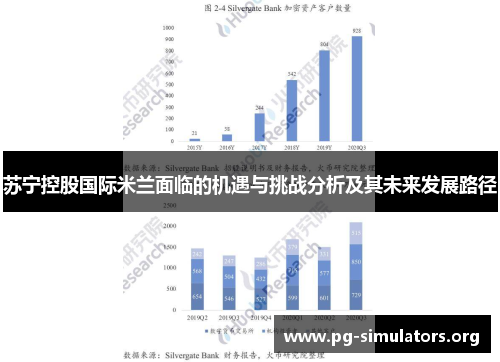 苏宁控股国际米兰面临的机遇与挑战分析及其未来发展路径 苏宁控股国际米兰面临的机遇与挑战分析及其未来发展路径