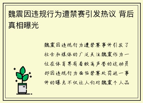 魏震因违规行为遭禁赛引发热议 背后真相曝光