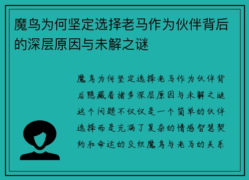 魔鸟为何坚定选择老马作为伙伴背后的深层原因与未解之谜